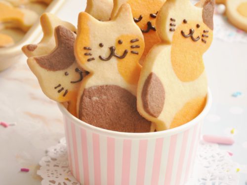 邦楽 The Biscuits Cat's Style 邦楽 The Biscuits Cat's Style 邦楽 The Biscuits Cat's Style 邦楽