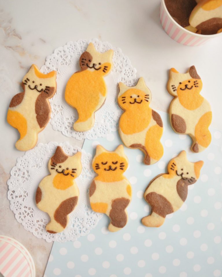 Super Cute Decorated Kitten Cookies Lucia Paula