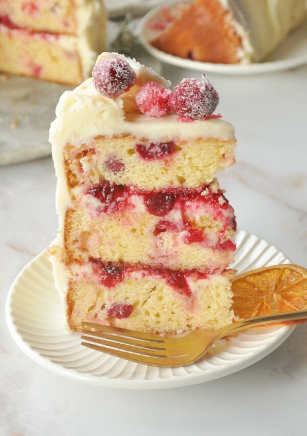 Fluffy and Delicious Orange Cranberry Cake